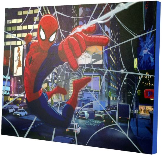 spiderman canvas