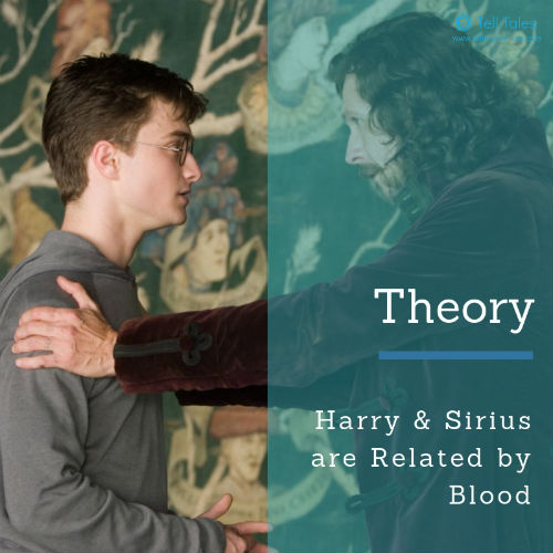 Harry Sirius theory