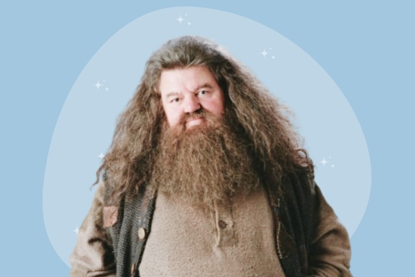 Hagrid harry potter