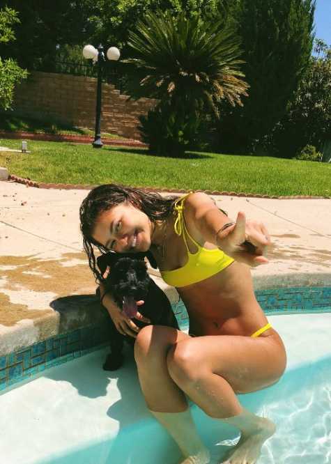 zendaya and dog